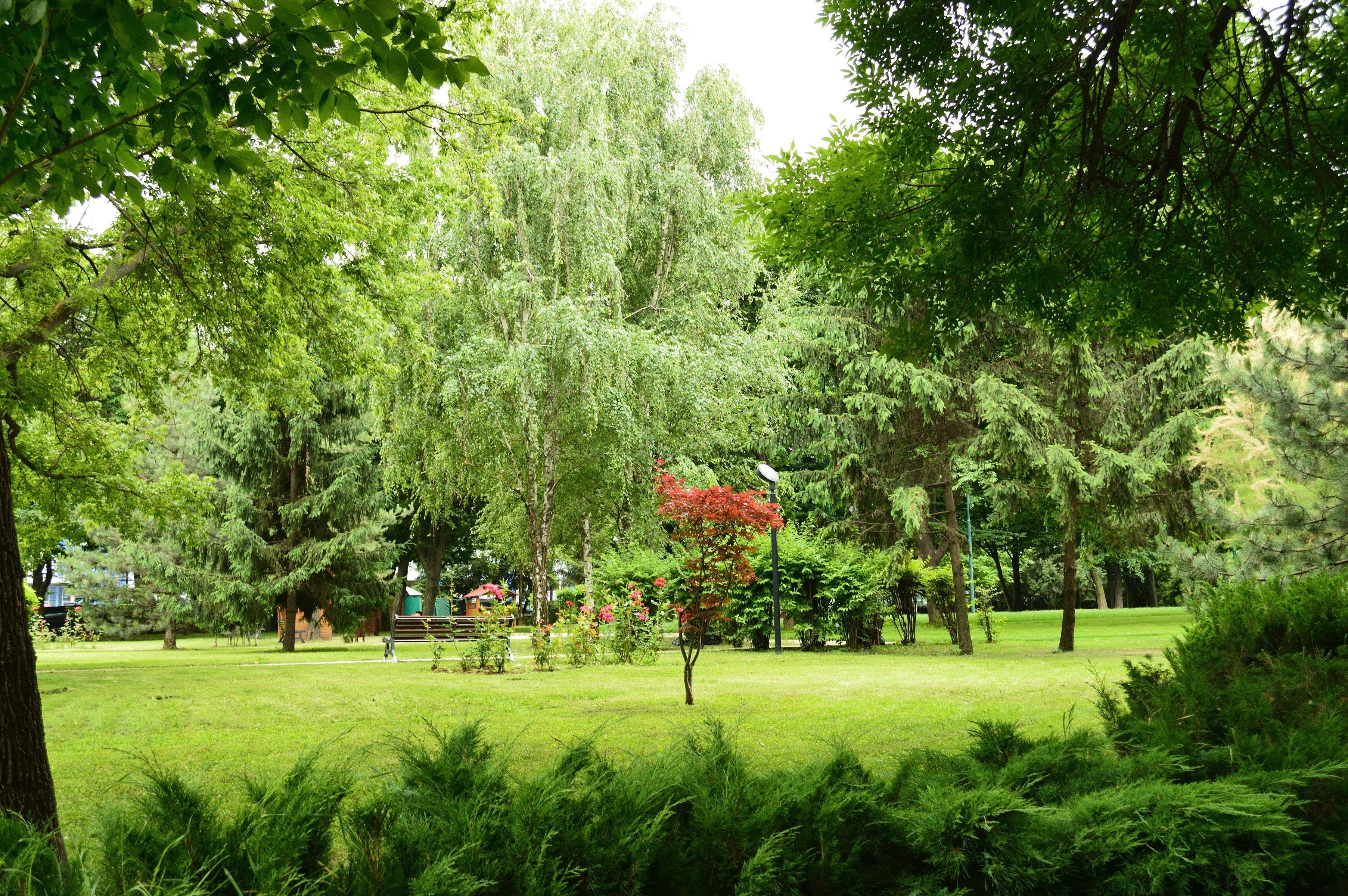 Hotel Crowne Plaza By Ihg Bucharest